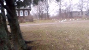 Теория заговора уже не теория. Мысли из деревни.