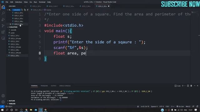 Find Area and Perimeter of Square | C Language Series | C05
