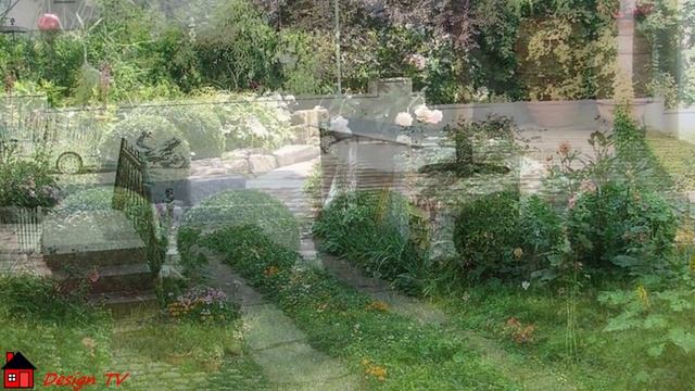 Tidy courtyard landscape Ухоженный ландшафт двора