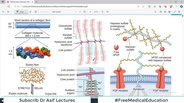 Chp1 (part6) Robbins Basic Patho | Extracellular Matrix | Cellular Interaction | Dr Asif Lectures