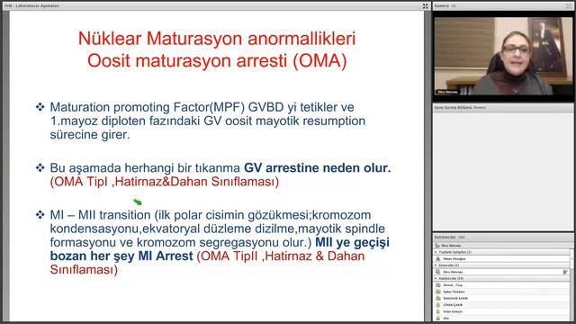 InVitro Maturasyon (IVM) İmmatür Oosit'ten Blastokist'e Laboratuvar Aşamaları смотреть онлайн