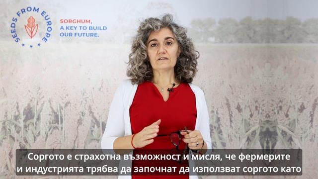 3-ТИ ЕВРОПЕЙСКИ КОНГРЕС ПО ВЪПРОСИТЕ НА СОРГОТО. СОРГО - ЗДРАВОСЛОВНА И ХРАНИТЕЛНА СЪСТАВКА