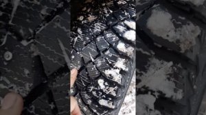 Nitto termo spike  нитто шины