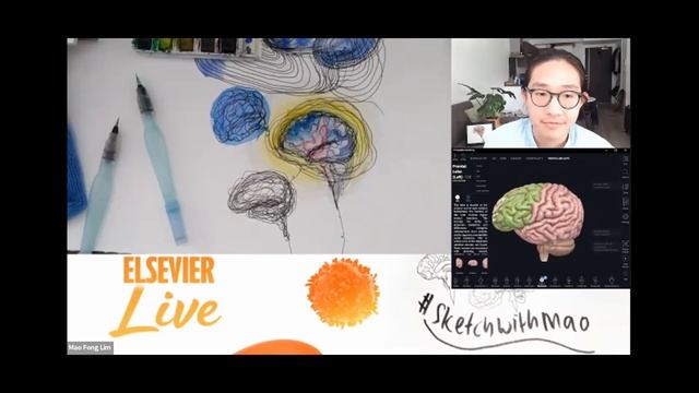 Sketch with Mao - Neuroanatomy with the help of Complete Anatomy