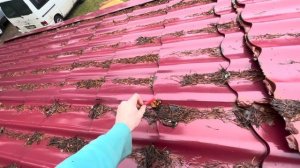 Как #построить стропильную систему для пристройки к дому своими руками. Пристрой к деревенскому дому