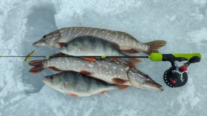 Зимняя рыбалка 2023/24. Ловля на балансир. День второй.