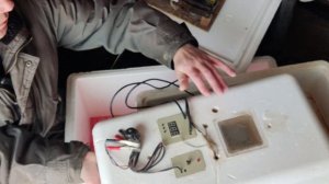 Самодельный инкубатор 'По бомжу'