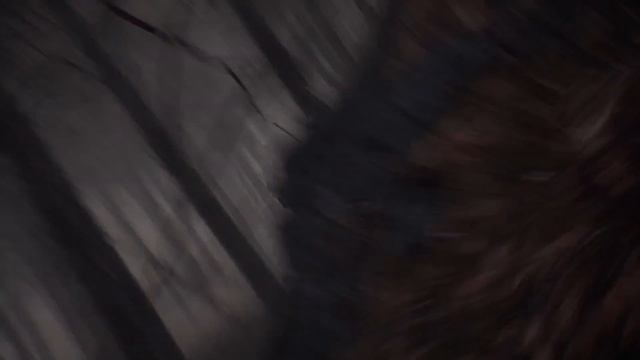 Lenovo sends me into a TERRIFYING forest to play BLAIR WITCH! смотреть онлайн