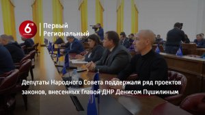 Депутаты Народного Совета поддержали ряд проектов законов, внесенных Главой ДНР Денисом Пушилиным