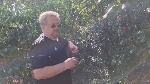 Купили дом на Юге.Что оставили в доме.Первые покупки в новый дом.