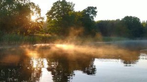 Прекрасное летнее утро на озере.