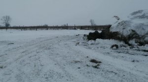 Вот и лето прошло!!!  ЛТЗ-55 и Т-40АМ при деле.