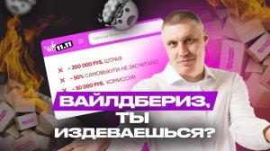 ОБНОВЛЕНИЕ от WB: 14 тарифов для продавцов. КАКОЙ НИШЕ ПОВЕЗЛО БОЛЬШЕ?