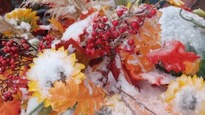 снегопад городские зарисовки  снег идет