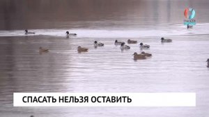 Новости от 06.11.2024