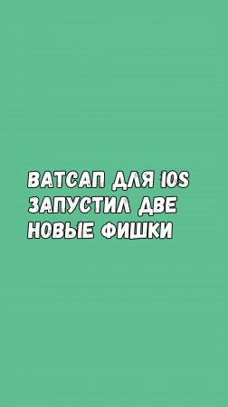 Ватсап Для iOS Запустил Две Новые Фишки