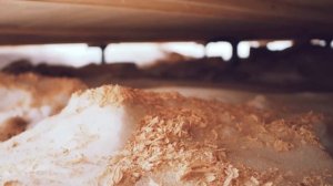 Отзыв № 17 о компании «ЗЕМЛЕ-СТРОЙ», г. Междуреченск, СНТ «Рябинушка», улица № 5.