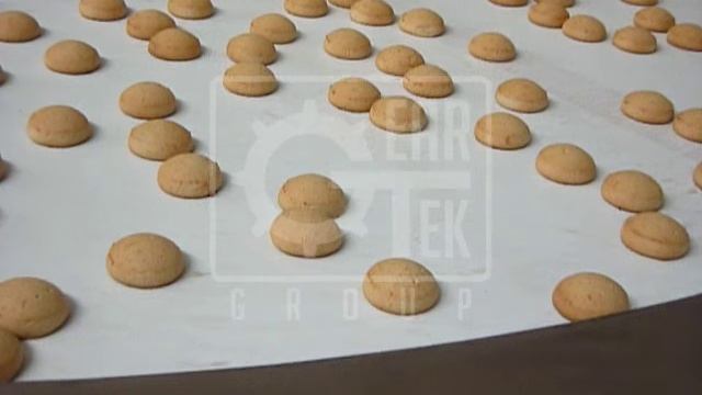 Поворотный ленточный конвейер ГТ-ПК на 180 градусов смотреть онлайн