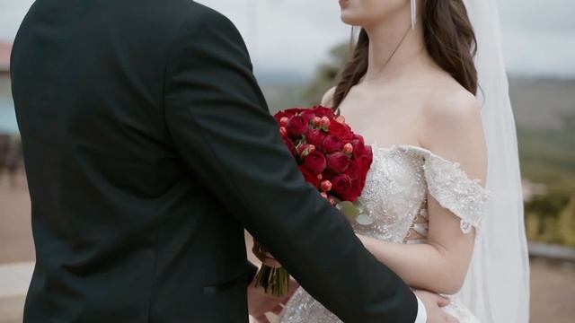 Герман и Елена Wedding Day