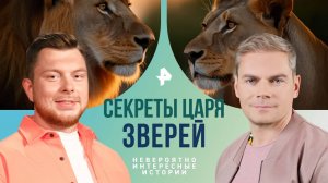 Секреты царя зверей — Невероятно интересные истории (11.11.2024)