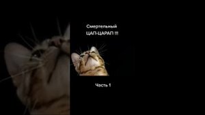 Смертельный цап-царап ч.1