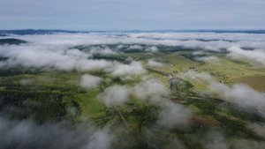 Природа Забайкалья лето 2024г #shorts #drone