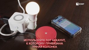 Инструкция подключения умных устройств EKF Connect к умной колонке Алиса от Яндекс