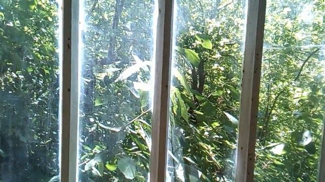 Минута лета - ветер за окном смотреть онлайн