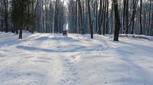 Заброшенная усадьба в д Васькино Московская область