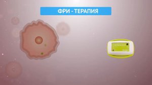Спинор новые технологии для здоровья всей семьи