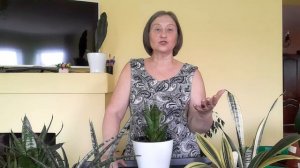 flomers video (6).Любовь Скороходова.