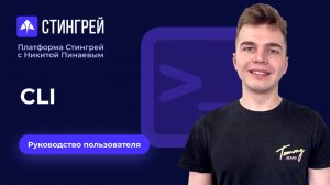 CLI | Руководство пользователя | Платформа Стингрей