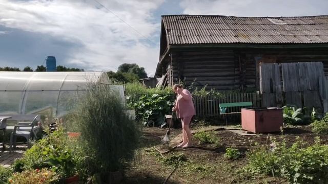 НАВОДИМ ПОРЯДОК В ОГОРОДЕ.