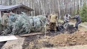 ручное перемещение деревьев на 100 м по участку, ручная подготовка посадочных ям и ручная посадка де