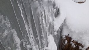 На укрывном флисе LanBel зимой, в периоды смены оттепели и мороза, образовался лёд, занесло снегом