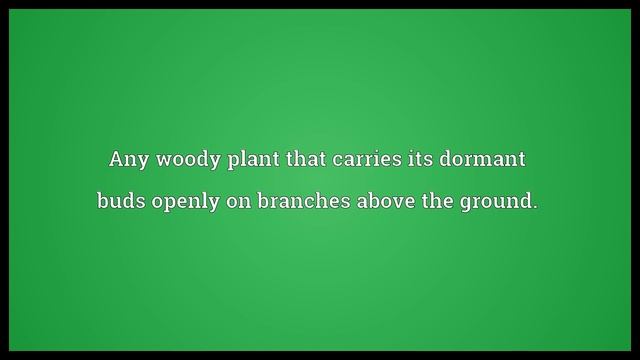 Phanerophyte Meaning смотреть онлайн