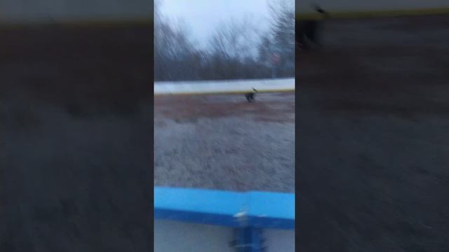 VID-20241103-WA0050 смотреть онлайн