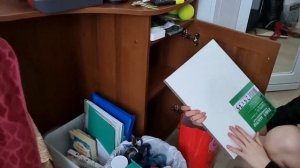 РАСХЛАМЛЕНИЕ квартиры. Ною/ ворчу/ гневаюсь/ убираюсь