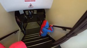 VLOG: Мокнем в Калиниграде! Музей мирового океана. Июль 2024