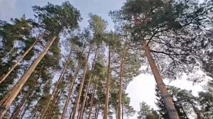 Эксклюзивное предложение!