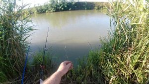 Рыбалка с дедом в Италии, канал Белый - 2