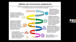 Спиральная динамика как инструмент развития организаций