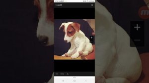 Песня для локи бобо (потомушто)😘