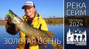 Золотая осень на реке. Спиннинг с лодки. (26.10.2024)