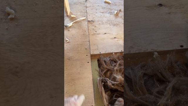 строительство каркасного дома