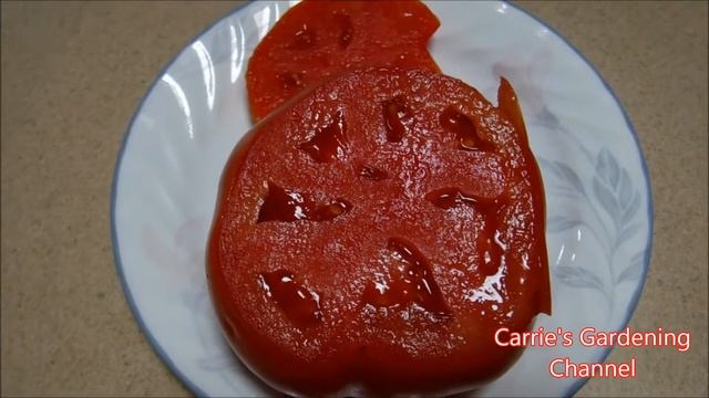 mountain fresh plus hybrid tomato review, mountain fresh plus hybrid tomato