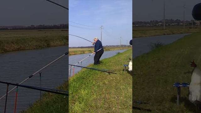 Уважаемый карась #carpfishing2024 #ЛовимКарпа #рыбалка #fishing #море