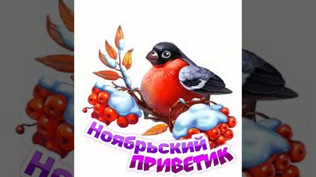 Ноябрьский привет!снегири