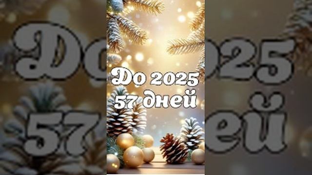 57 дней до 2025