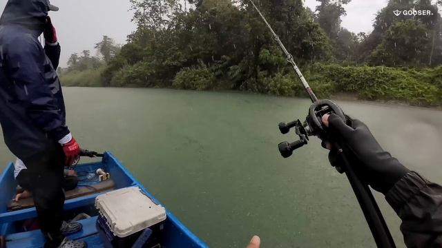 『印尼🇮🇩最終章』大暴雨硬戰，苦撐到最後，終於.. #鵝大人 #路亞 #巴布亞黑鱸 смотреть онлайн